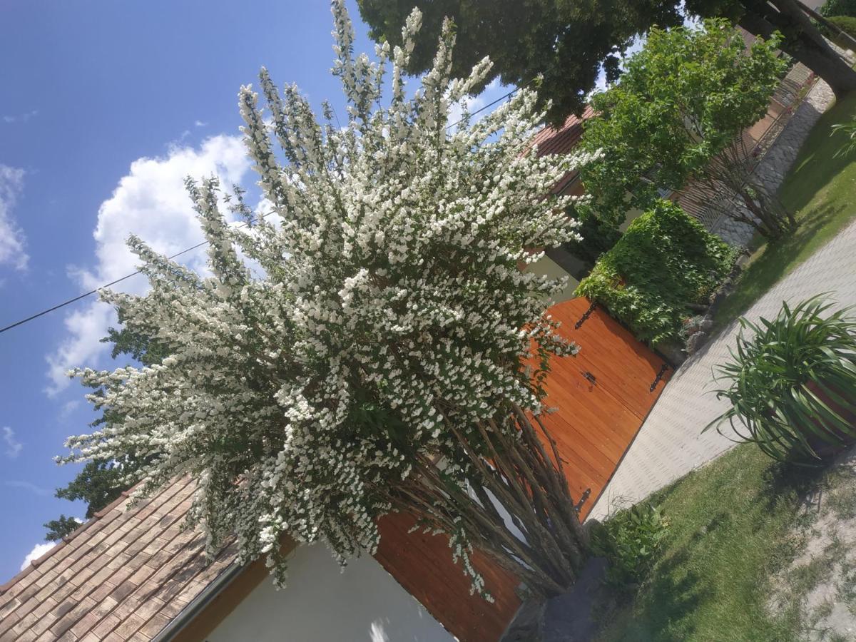 Cseresznyes Haz Lipót Екстериор снимка